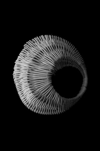 WOVEN BRANCH BASKET