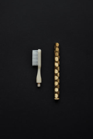 TOOTHBRUSH REPLACEABLE HEAD